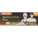 Blueberry Party Pack