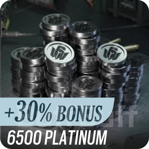 6500白金（首充双倍）