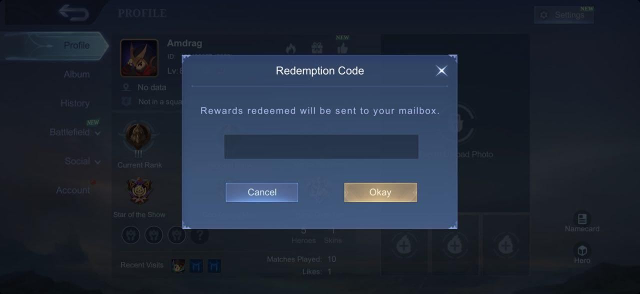 5. Type/paste a code from the table above. Then tap on “Okay”. 