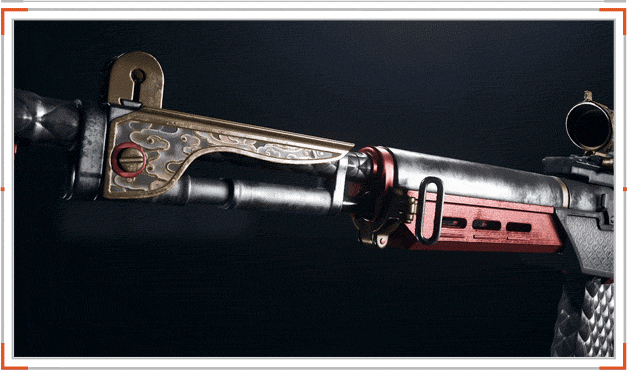 BM59 weapon coating