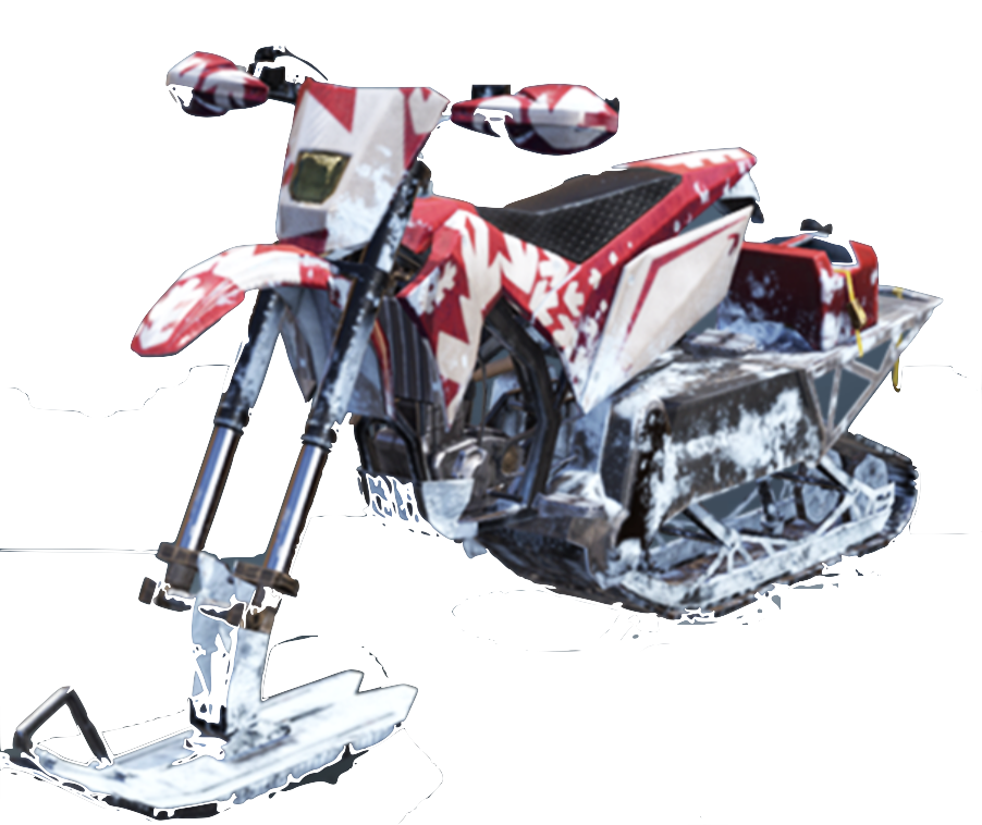Snowbike
