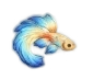 Flowborne Dream
