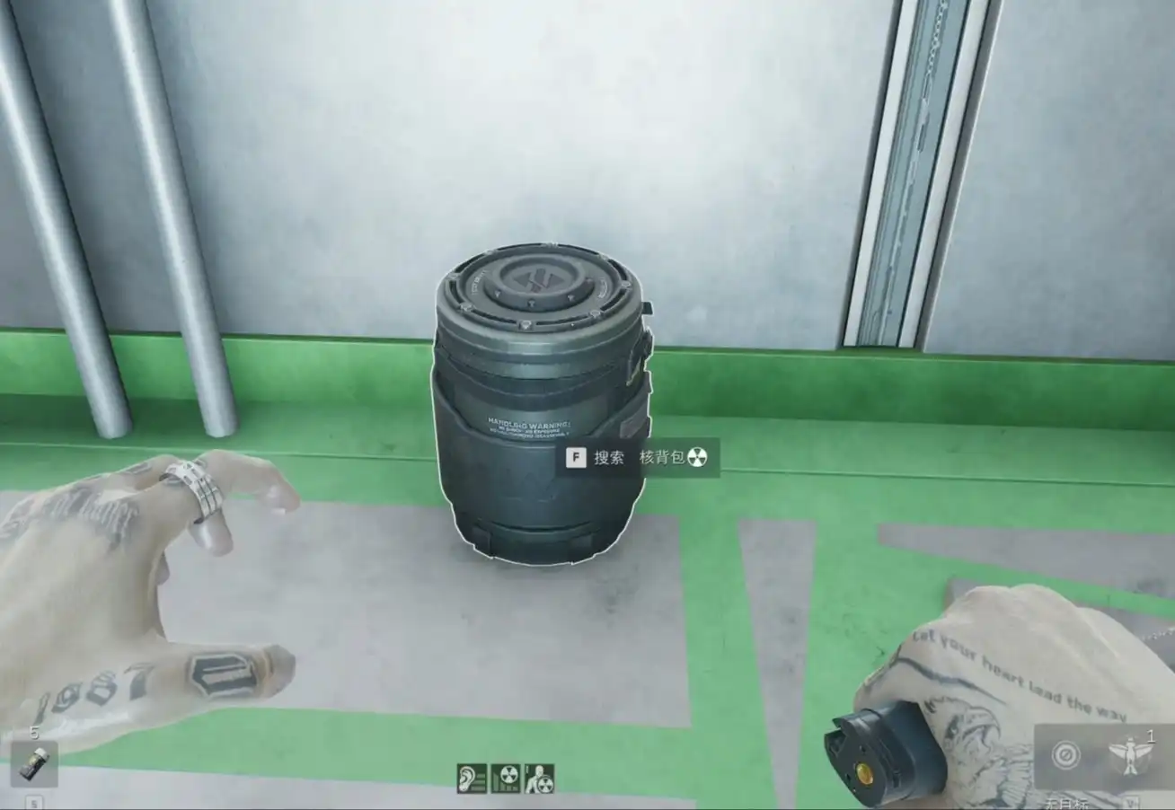  irradiated containers 