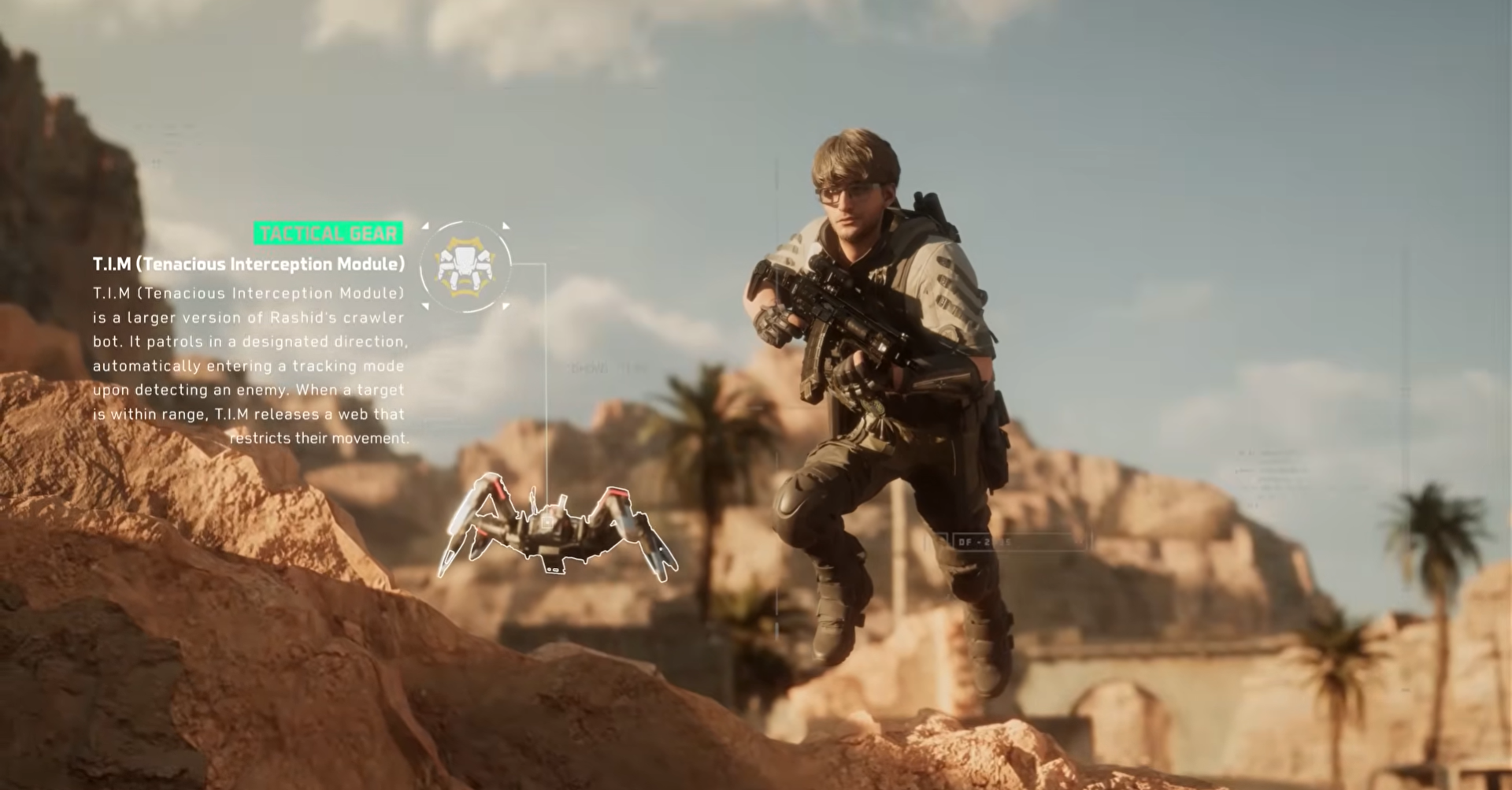 Hunting Spider