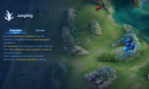 Jungle Strategy
