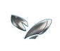 Monowing Polarizer