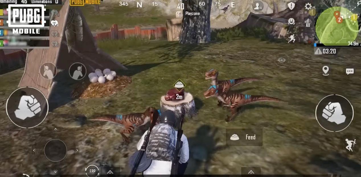 baby dinos