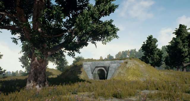 Bunkers 