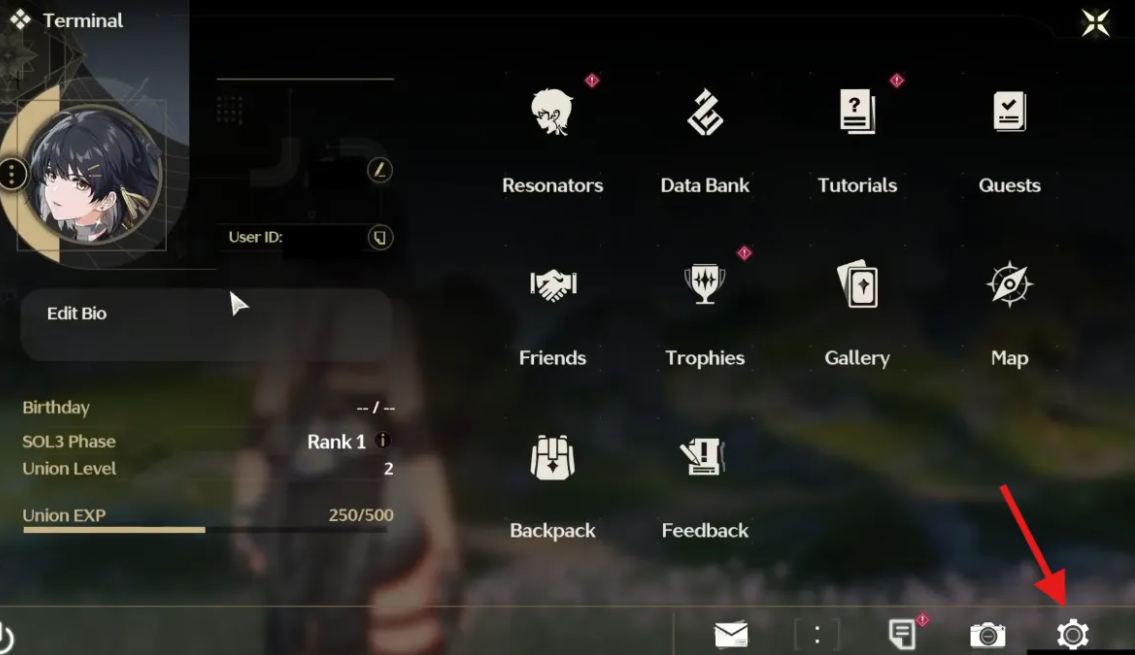 Settings Icon to Redeem Codes in WuWa