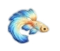 Flowborne Dream