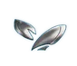 Monowing Polarizer
