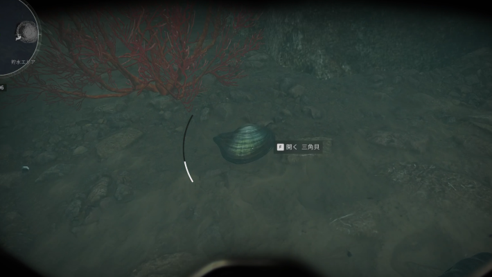 DF Clams