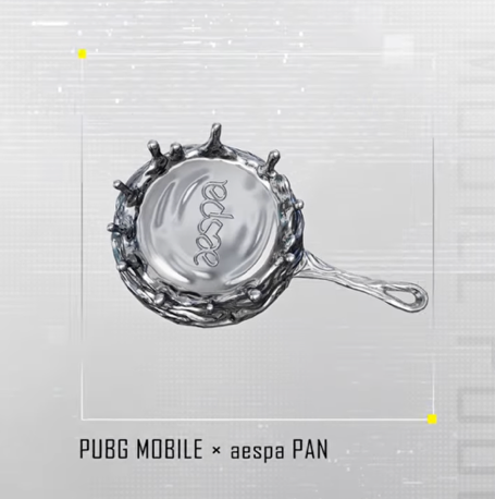a pan skin